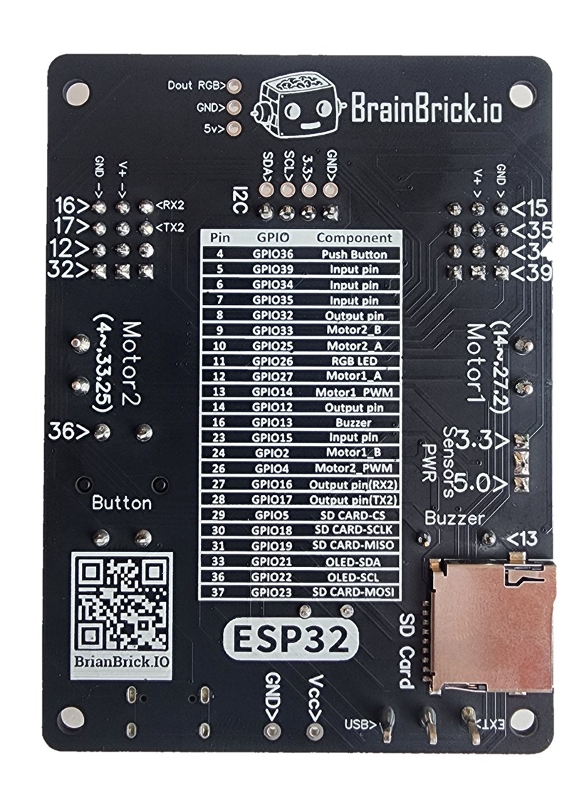 BrainBrick board — back (pinout)